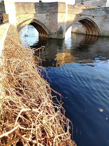 Photo of The River Terrace - Manor Mews, 1-2 Bridge St, St Ives, St. Ives PE27 5UW